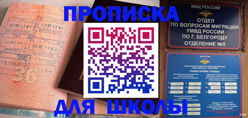 прописка иностранных граждан в Александрове